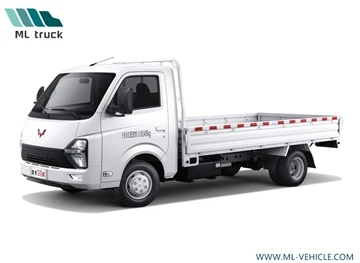 SAIC-GM-Wuling lancerer Longka Pickup Truck