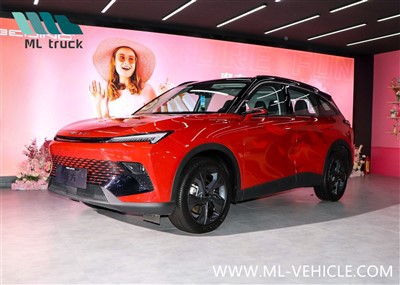 BAIC   MoFang