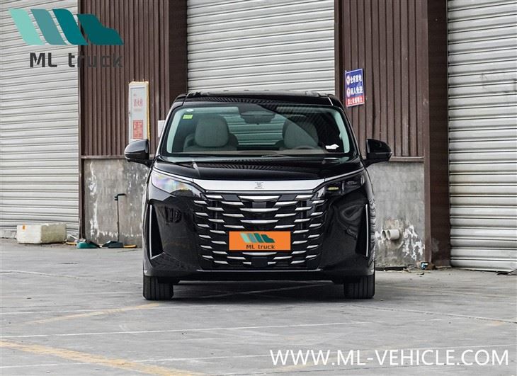 2025 BYD Xia MPV DMi