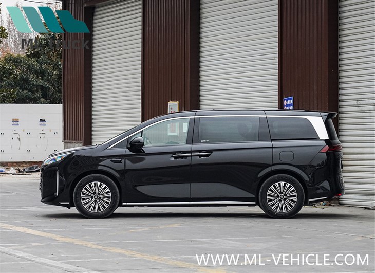 2025 BYD Xia MPV DMi